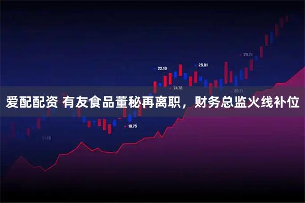 爱配配资 有友食品董秘再离职，财务总监火线补位