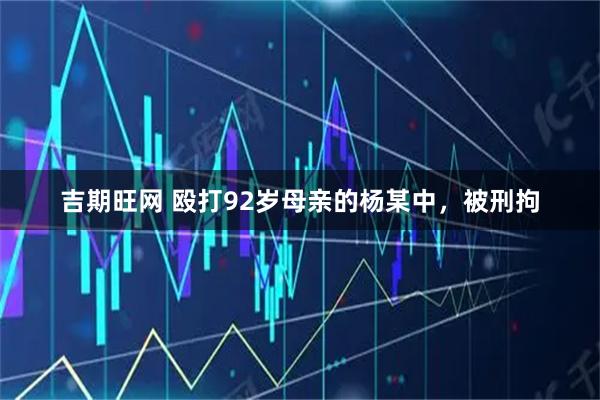 吉期旺网 殴打92岁母亲的杨某中，被刑拘